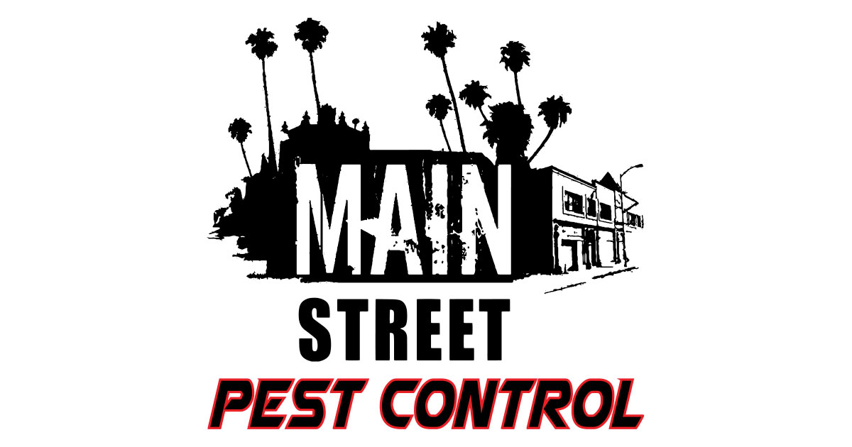 Expert Pest Control Services - Your Local Exterminator - Main Street ...